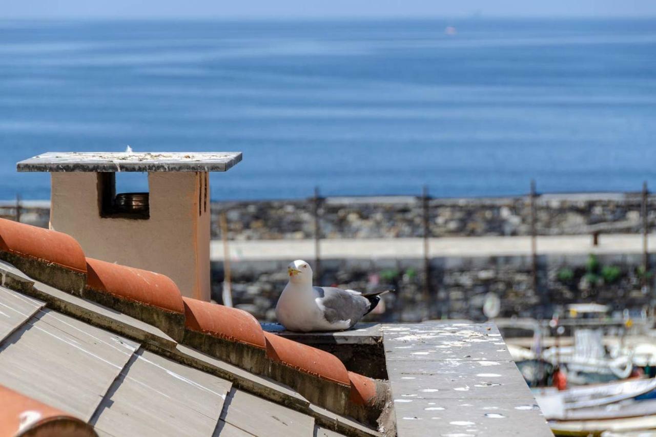 Ferienwohnung Joivy Charm 1 Bed Apt Overlooking Port Of Camogli Exterior foto