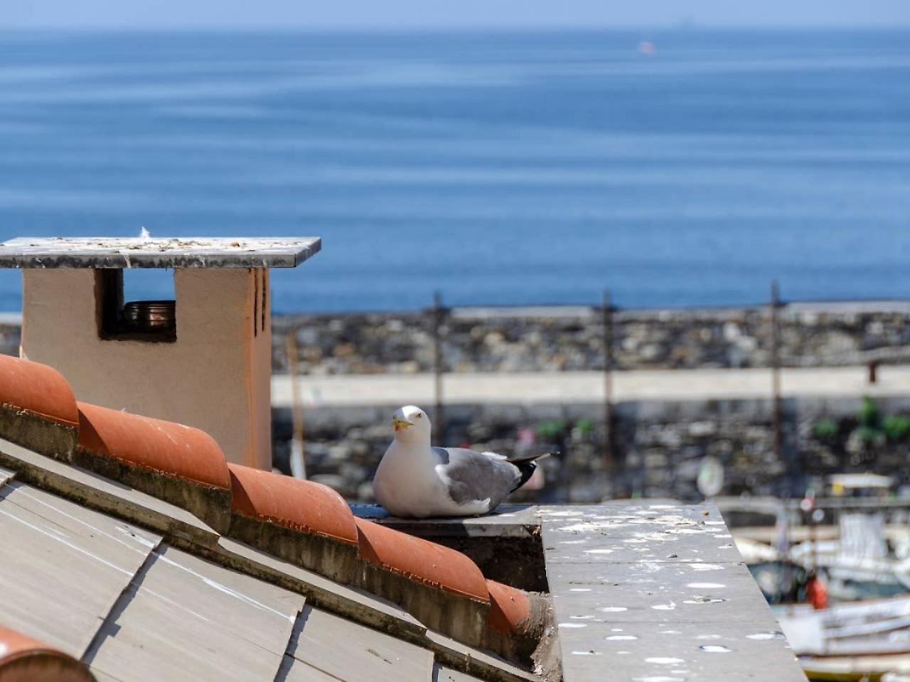 Ferienwohnung Joivy Charm 1 Bed Apt Overlooking Port Of Camogli Exterior foto